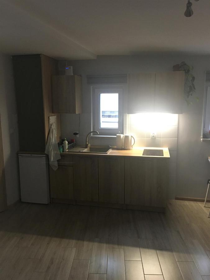 "Na Wesolej" Apartment Tarnowskie Góry Exterior foto